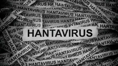 Update Kasus Hantavirus Jakarta: 3 Positif, 6 Suspek Dipantau