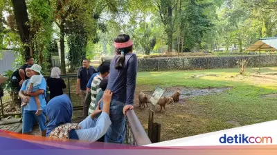 Warga Cianjur Ajak Anak Liburan ke Ragunan Demi Kapibara Viral