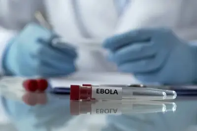 WHO Naikkan Risiko Ebola di Kongo ke Level Tertinggi, Kasus Terus Bertambah