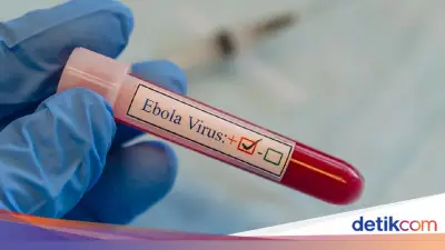 WHO Nyatakan Wabah Ebola Strain Langka di Kongo dan Uganda Darurat Internasional