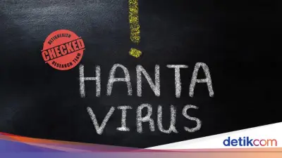 WN Prancis Bergejala Hantavirus saat Dipulangkan dari Kapal MV Hondius