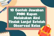 10 Contoh Jawaban PMM: Kapan Melakukan Aksi Tindak Lanjut Setelah Observasi