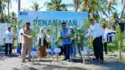 2.500 Pohon Cemara Udang Ditanam di Pesisir Lombok untuk Cegah Abrasi