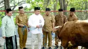 292 Hewan Kurban SIG Disebar di 19 Provinsi untuk Idul Adha 1447 H