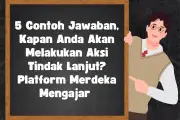 5 Contoh Jawaban Kapan Akan Melakukan Aksi Tindak Lanjut Platform