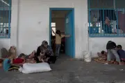 Ancaman Hama Menyebar di Kamp Pengungsi Gaza Akibat Sanitasi Buruk