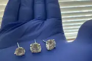 Anting Berlian Mewah Rp 13,7 Miliar Ditelan Pelaku, Polisi Pantau 2 Pekan