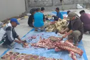 Cara Efektif Bersihkan Pisau dari Bau Prengus Usai Potong Daging Kurban