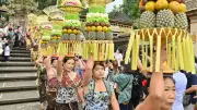 Dinkes Bali Pastikan Belum Ada Kasus Hantavirus, Skrining Diperketat