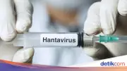 Dinkes DKI Temukan 4 Kasus Hantavirus di Jakarta: 3 Sembuh, 1 Suspek