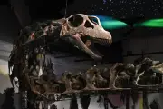 Fosil Dinosaurus Raksasa Nagatitan Ditemukan di Thailand, Beratnya 27 Ton