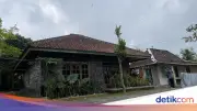 Geger 11 Bayi Dievakuasi dari Rumah Bidan di Sleman, 3 Dibawa ke RS