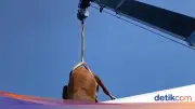 Geger Sapi Kurban Terbang di Klaten, Ternyata Dievakuasi Pakai Crane