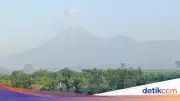 Gunung Semeru Erupsi Tiga Kali Pagi Ini, Abu Vulkanik Capai 700 Meter