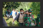 Harimau Sumatera Terjebak di Agam Berhasil Dievakuasi BKSDA Sumbar