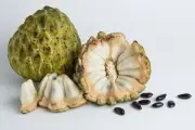 Insinyur AI Kembali ke Desa dan Sukses Bertani Buah dengan Ilmiah