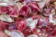 Jangan Buang Kulit Bawang Sisa Masak, Ini Manfaatnya