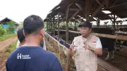 Jelang Iduladha, PDHI dan Human Initiative Pastikan Hewan Kurban Sehat Bebas Penyakit