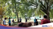 Kemensos Salurkan 295 Ekor Hewan Kurban di Idul Adha 1447 H