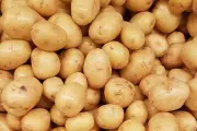 Kenapa Kentang Tak Disarankan Disimpan di Kulkas? Ini Alasannya