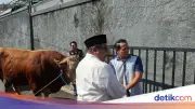 Ketua RT Ungkap Antusiasme Warga Gandaria Dapat Sapi 1 Ton dari Rano Karno