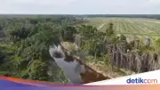 Komisi III DPR Dukung Polda Riau Beri Hukuman Berat Korporasi Sawit Perusak Sungai