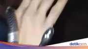 Korban Gigitan Ular Weling di Bogor Sempat Mainkan Ular Setelah Digigit