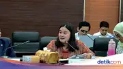 Legislator PAN Puji Kemlu Pulangkan 9 WNI Relawan Flotilla dari Israel