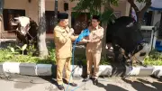 Mendagri Serahkan 360 Hewan Kurban Kemendagri dan BNPP