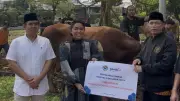 PB IKA PMII Salurkan 13 Sapi dan 2 Kambing Kurban, Termasuk dari Presiden Prabowo