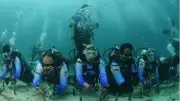 Pekerja BRI Lakukan Transplantasi Terumbu Karang di Sabang untuk Pulihkan Ekosistem Wisata Laut