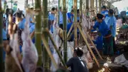 Pemkab Serang Kurban 1.000 Kambing, Bagikan 9.163 Paket ke Warga