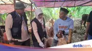 Pemkot Serang Inspeksi Hewan Kurban, Pastikan Sehat dan Layak