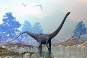 Penemuan Fosil Kulit Ungkap Warna Asli Dinosaurus Sauropoda