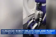 Penerbangan Southwest Airlines Tertunda Akibat Penumpang Bawa Robot
