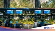 Pengawasan di Bandara Soetta Diperketat Antisipasi Hantavirus