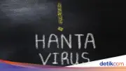 Penumpang Kapal Pesiar asal Kanada Diduga Positif Hantavirus Andes