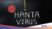 Penumpang Kapal Pesiar Terdampak Hantavirus Akan Dipulangkan ke Negara Asal
