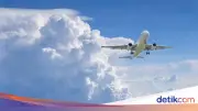 Penumpang Pria Gigit Pramugari, Penerbangan Qantas ke AS Dialihkan
