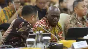 Pigai Cerita Dilaporkan 33 LSM ke PBB, Akhirnya Dinyatakan Tak Bersalah