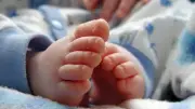 Polisi Evakuasi 11 Bayi dari Rumah Bidan di Sleman, 3 Dirawat di RS