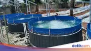 Pompa Udara Yasunaga Tingkatkan Produktivitas Tambak Udang