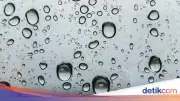 Prakiraan Cuaca RI Besok 20 Mei Saat Harkitnas, Dominasi Berawan-Hujan Ringan