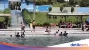 Sapi Kurban Kabur ke Kolam Renang di Sumut, Pengunjung Lari Berhamburan