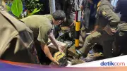 Satpol PP Razia Miras Ilegal di Cibinong, Sita 86 Botol