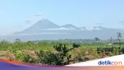 Semeru Erupsi 7 Kali dalam 4 Jam, Warga Diminta Jauhi Radius 13 Km