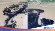 Sungai di Tarakan Tercemar Oli Bekas, PDAM Hentikan Produksi Air