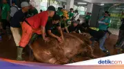 Syarat Penyembelih Hewan Kurban: Islam, Berakal, Mumayyiz, dan Lainnya