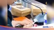 Viral Anggota DPRD Jember Merokok Saat Rapat, Ketua Pastikan Sanksi