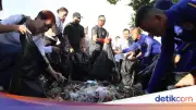 Wamendagri Bima Arya Ajak ASN dan Praja IPDN Bersihkan Pantai Senggigi